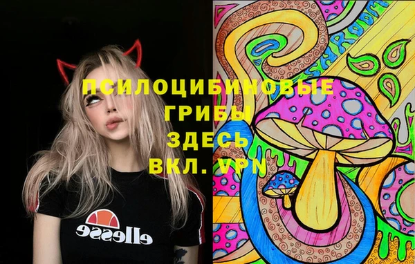 синтетический гашиш Алексин