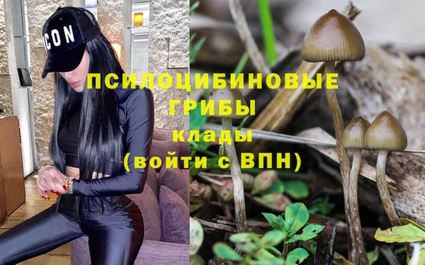mix Абинск