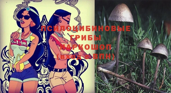 mix Абинск